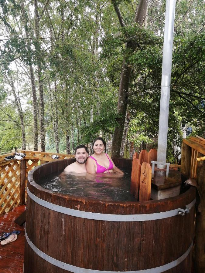Cabanas Huilipan Gonzalez Nueva Imperial Zewnętrze zdjęcie