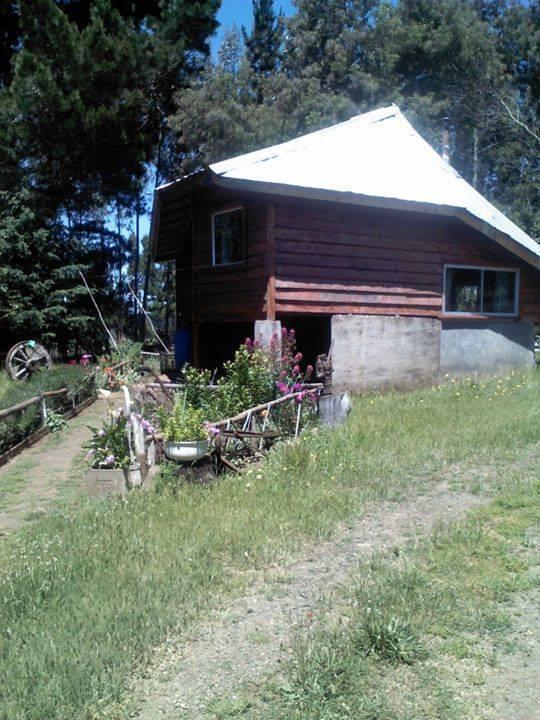 Cabanas Huilipan Gonzalez Nueva Imperial Zewnętrze zdjęcie