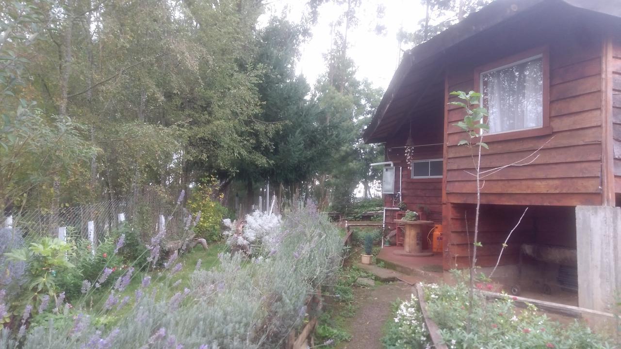 Cabanas Huilipan Gonzalez Nueva Imperial Zewnętrze zdjęcie