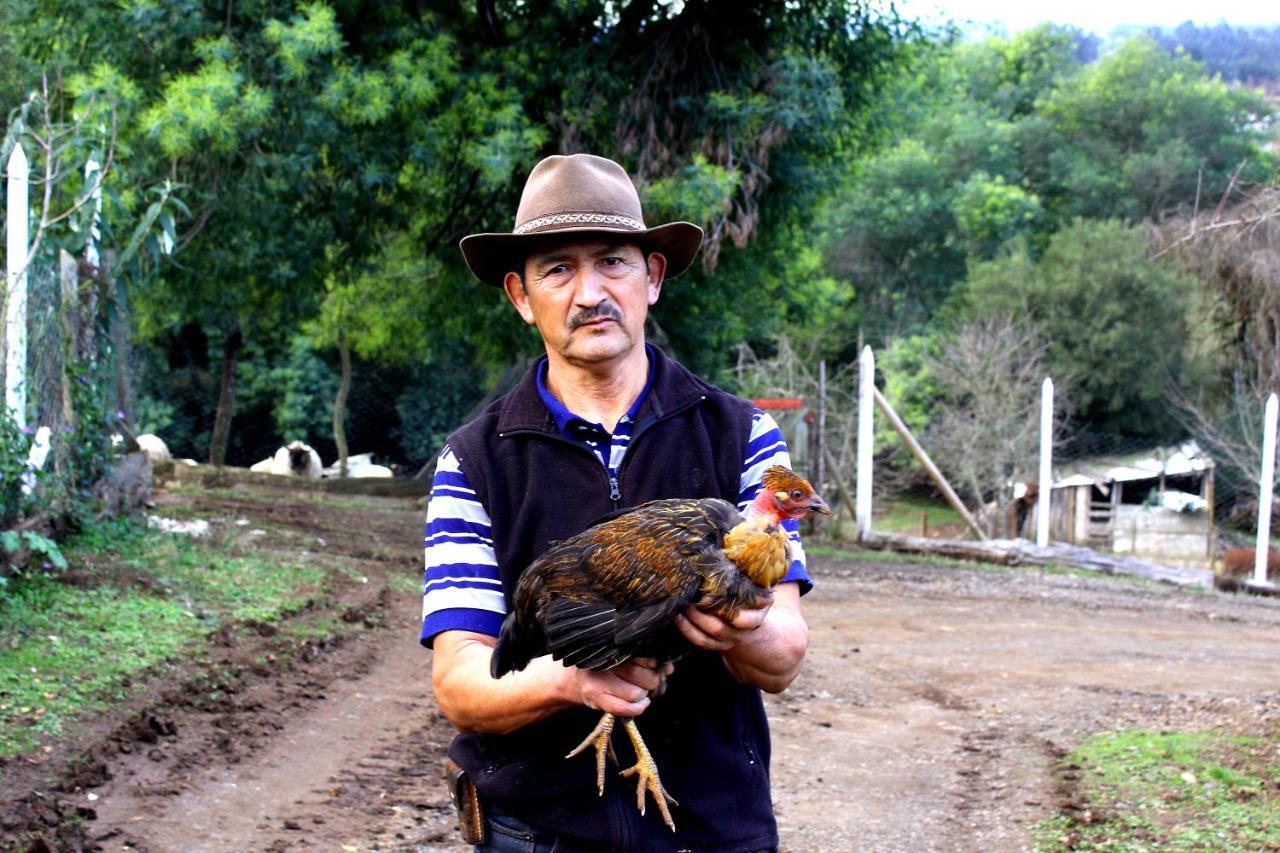 Cabanas Huilipan Gonzalez Nueva Imperial Zewnętrze zdjęcie
